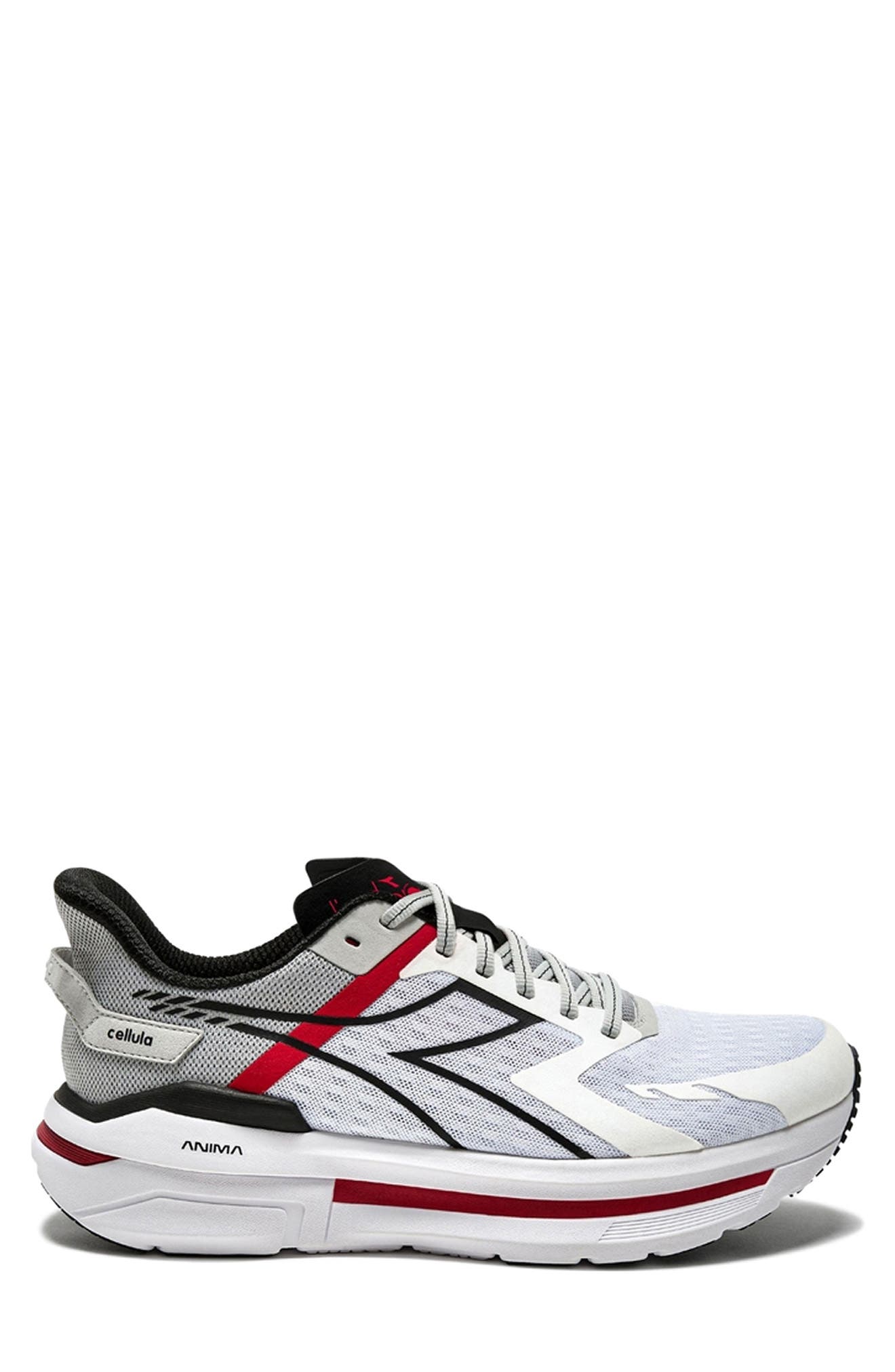  White/ Silver Dd/ Black