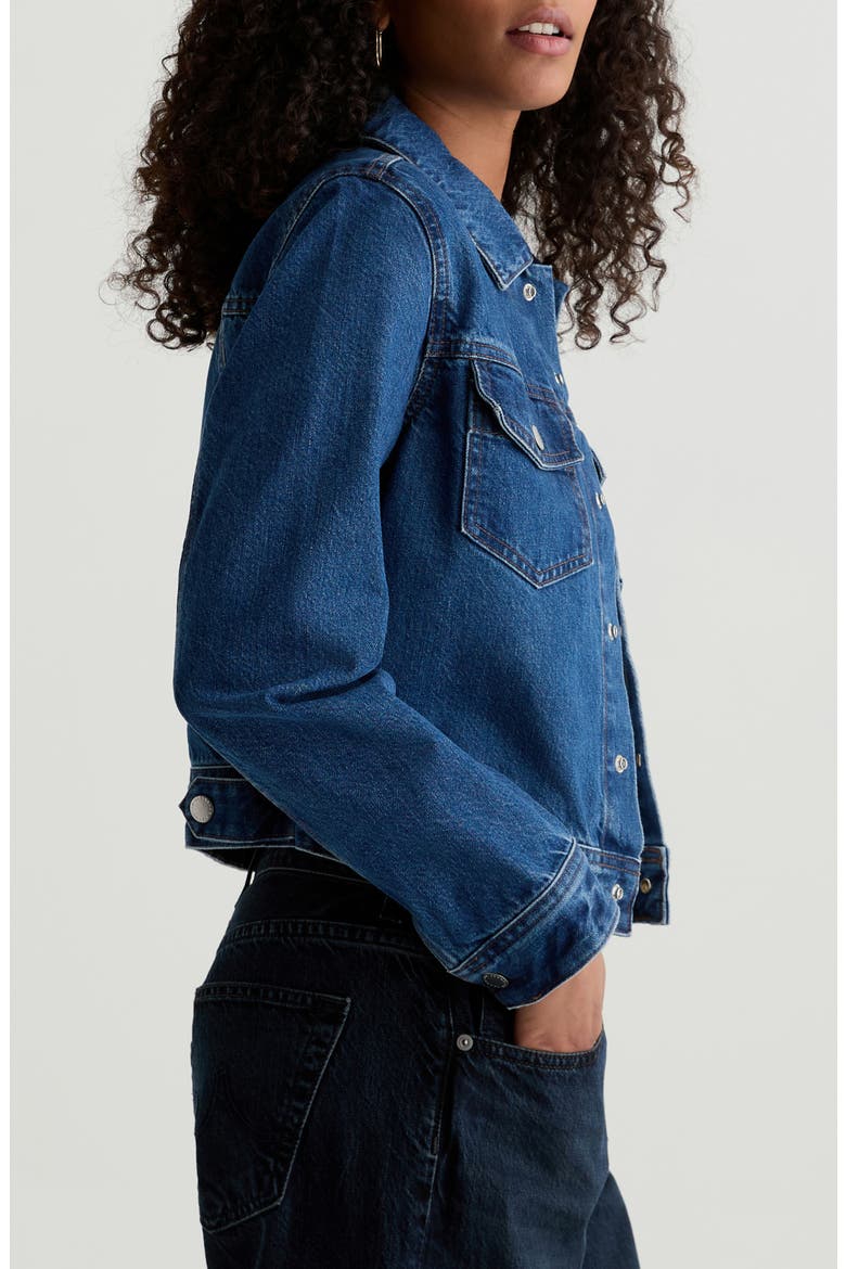 Molly Denim Trucker Jacket, Alternate, color, DENALI