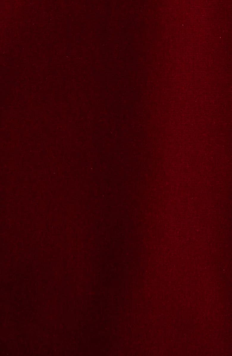 AK ANNE KLEIN Long Sleeve Velvet Button-Up Shirt, Alternate, color, Red Ruby