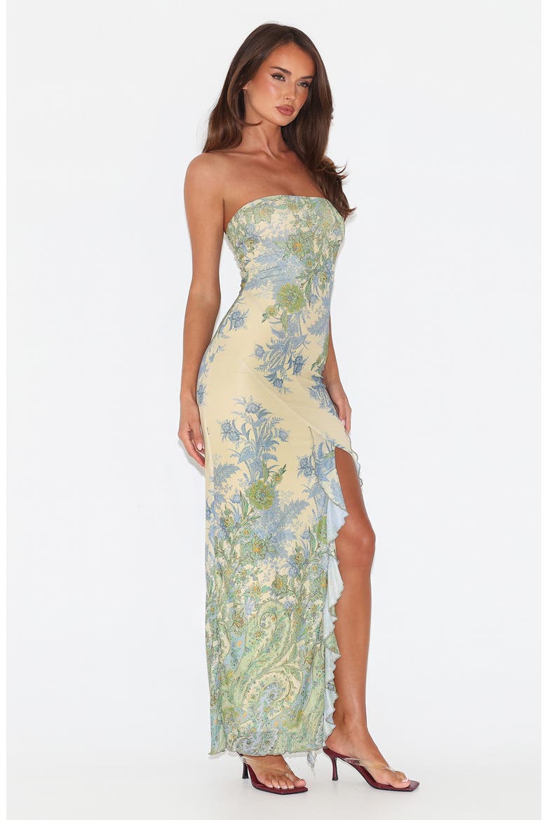 Theo Floral Strapless Mesh Maxi Dress, Alternate, color, PAISLEY TAPESTRY