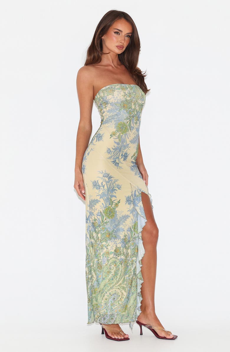 Tiger Mist Theo Floral Strapless Mesh Maxi Dress, Alternate, color, Paisley Tapestry
