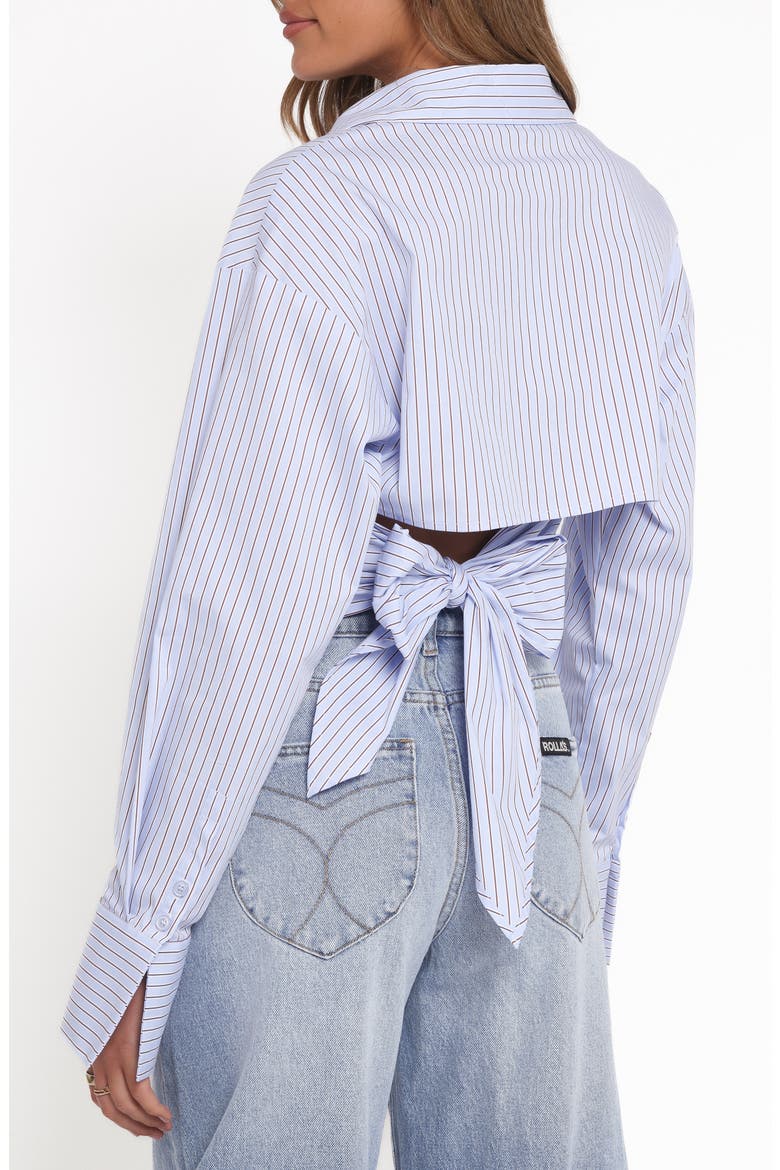 Vienne Stripe Tie Back Button-Up Shirt, Alternate, color, BLUE/ BROWN STRIPE