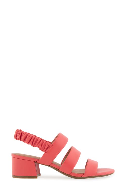 AEROSOLES AEROSOLES CLARISSA SLINGBACK SANDAL