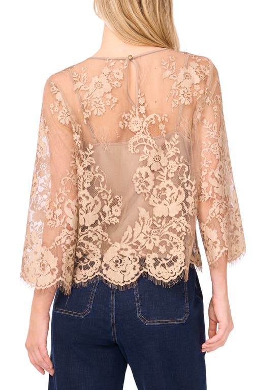 Vince Camuto Scallop Hem Cotton Blend Lace Top In Brown