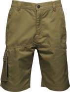 Regatta Heroic Cargo Shorts