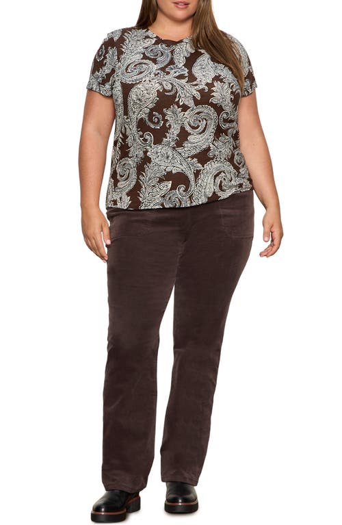 Sanctuary The Perfect T-shirt In Brown