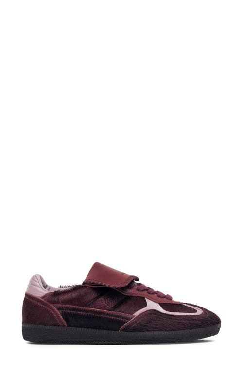 Alohas Tb.490 Club Low-top Sneakers In Burgundy