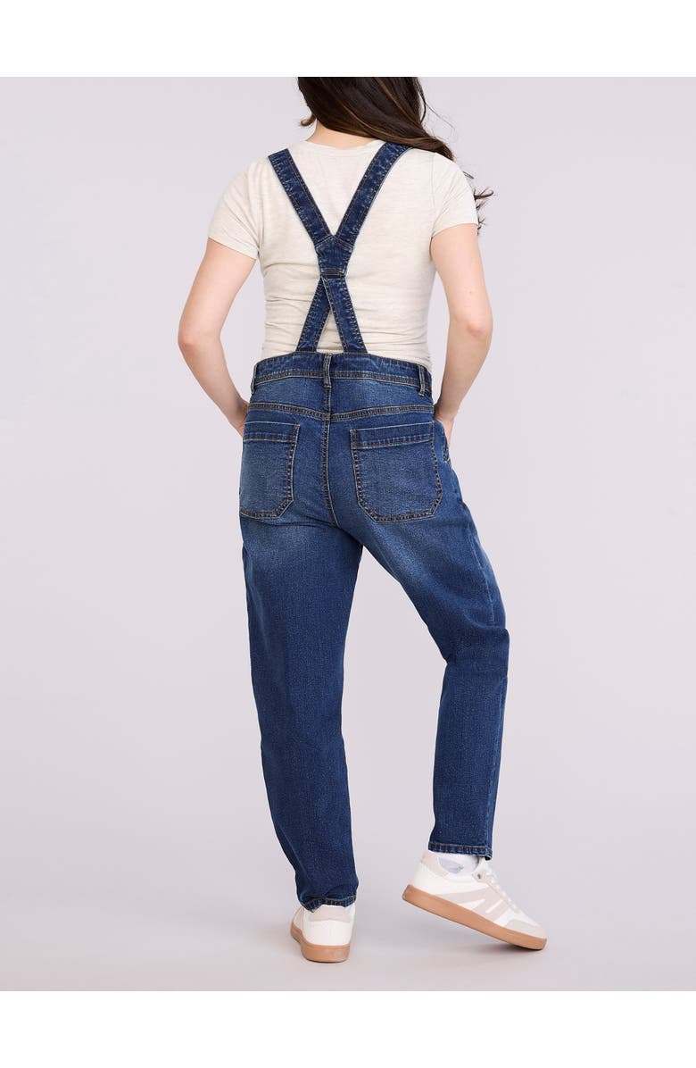 MOTHERHOOD MATERNITY Relaxed Fit Maternity Denim Overall, Alternate, color, Skoll Wash
