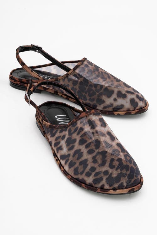 Prologue Shoes Shen Mesh Sandal