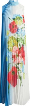 Elie Tahari The Reilley Pleated Maxi Dress