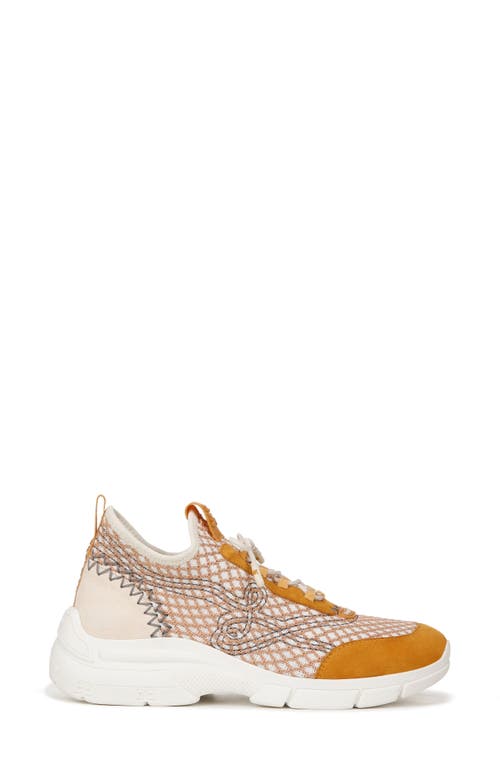 Sam Edelman Chelsie Knit Sneaker In Washed Daisy/dark Sunflower