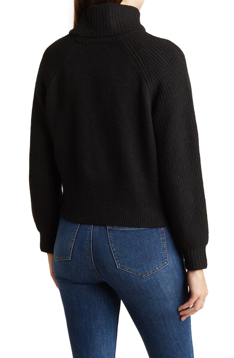 Elodie Turtleneck Sweater, Alternate, color,