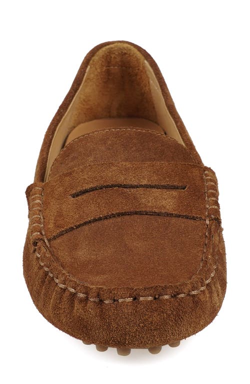 National Comfort Talulah Penny Loafer In Brown