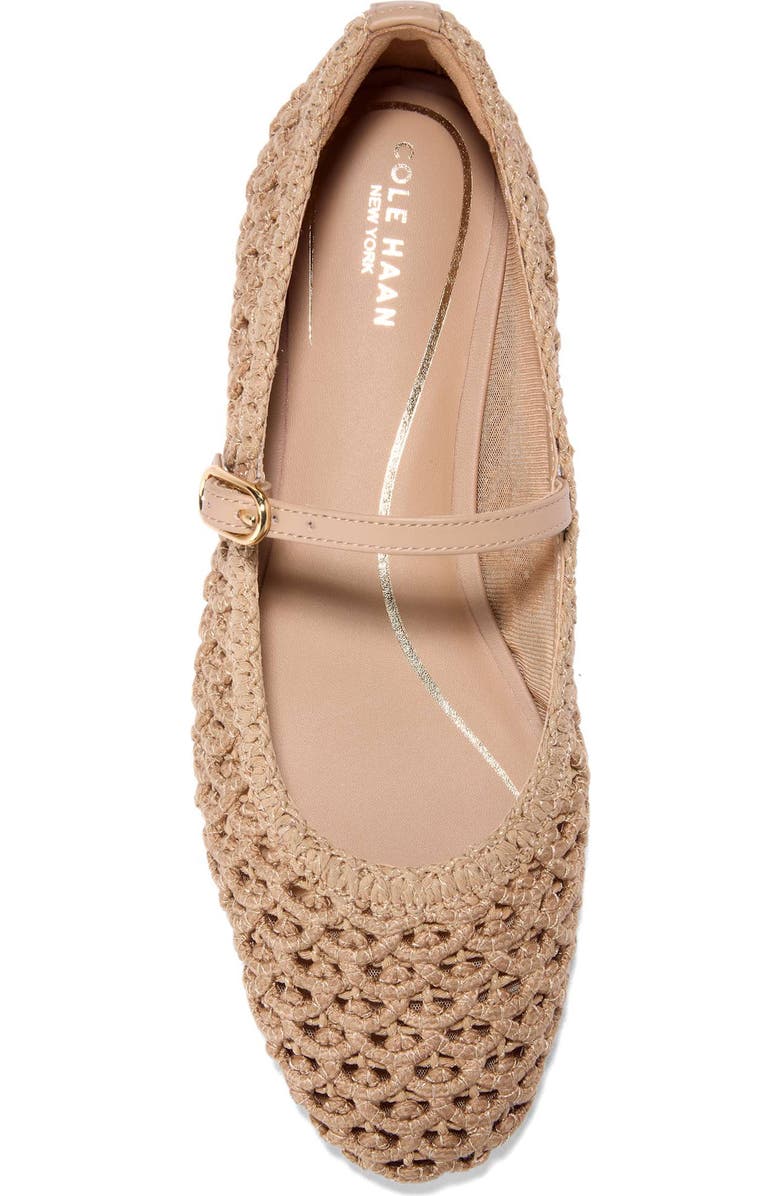 Cole Haan Harlan Woven Ballet Flats, Alternate, color,