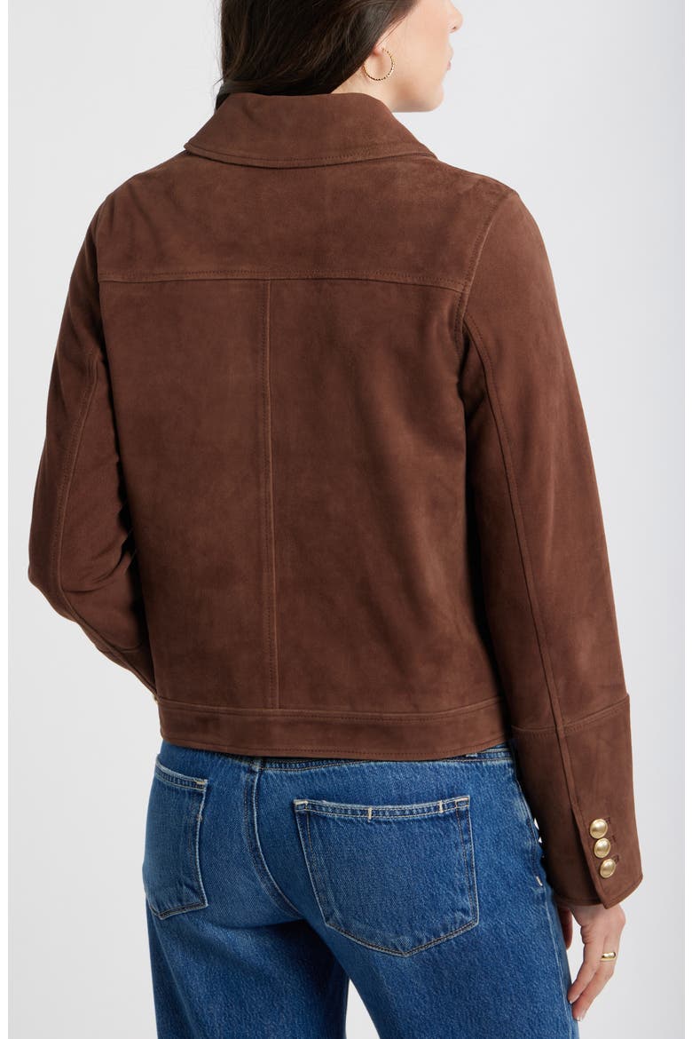 Button Front Suede Jacket, Alternate, color, BROWN
