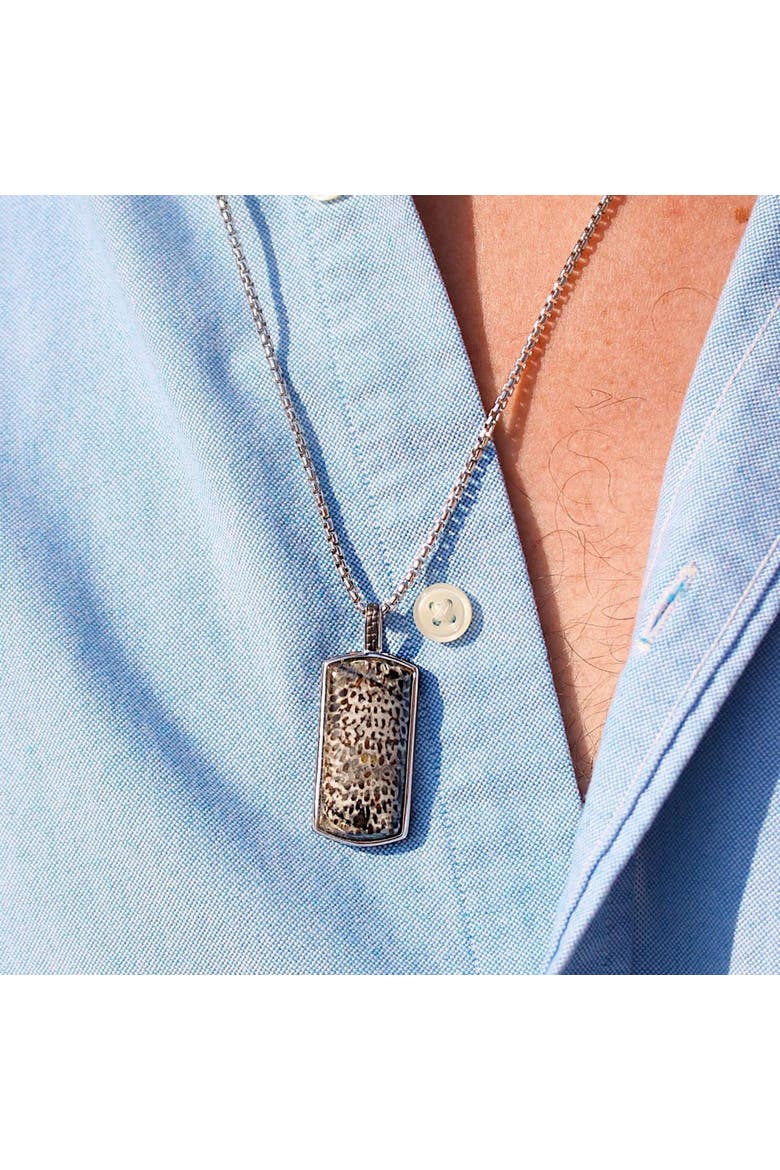 Fossil Agate Sterling Silver Men Tag Necklace, Alternate, color, Silver