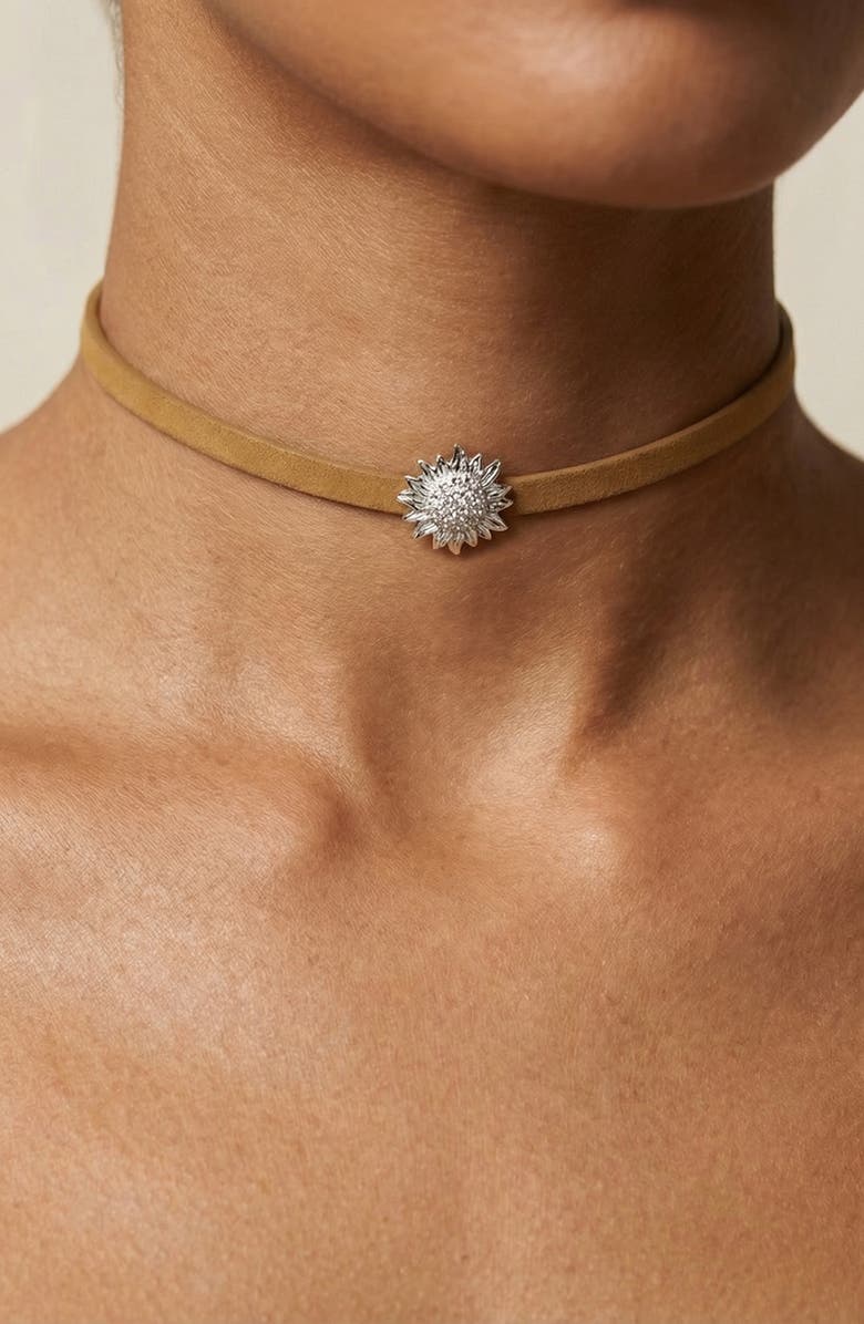 CZ by Kenneth Jay Lane Pavé Cubic Zirconia Sunflower Choker Necklace, Alternate, color, 