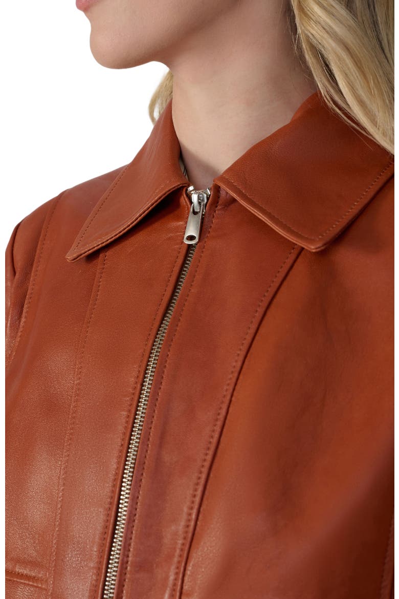 Daisy Leather Jacket, Alternate, color, Whiskey