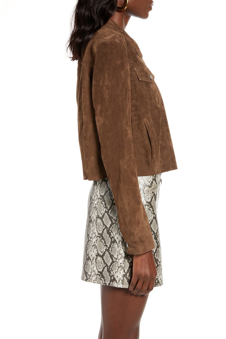 Crop Suede Trucker Jacket, Alternate, color, RODEO