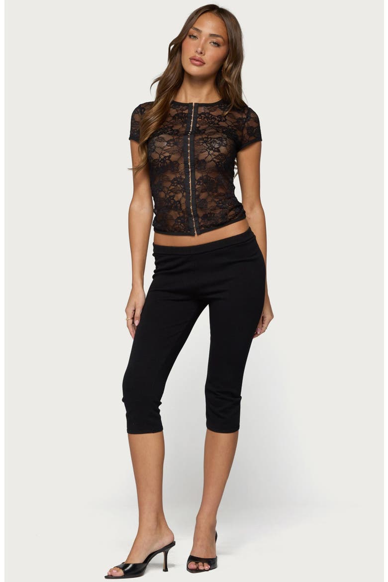 Jessi Sheer Lace Hook & Eye Top, Alternate, color, BLACK