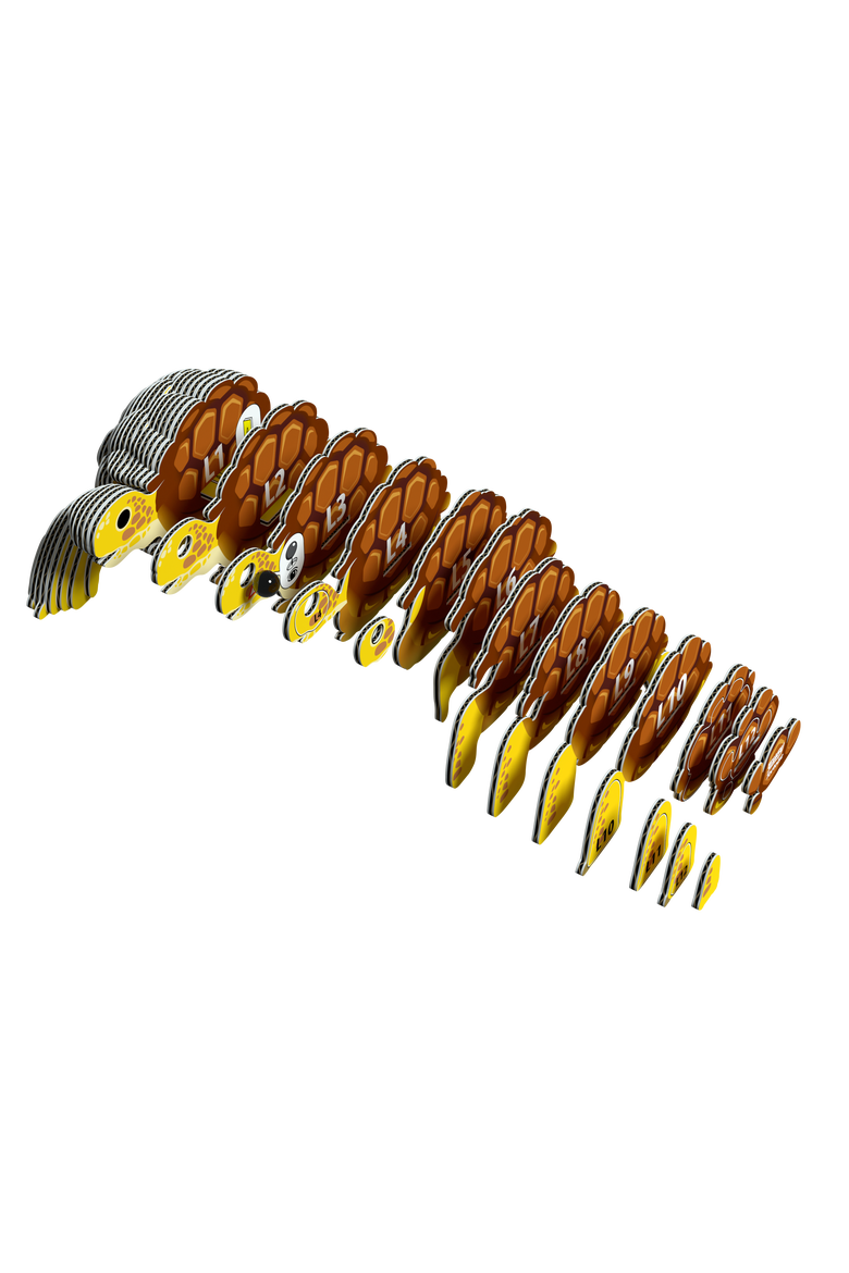 Tortoise 3D Puzzle, Alternate, color, No Color