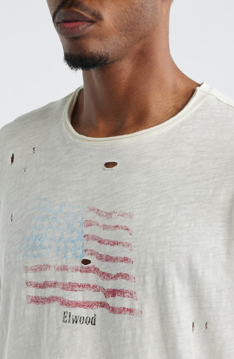 Elwood Frontier Flag Graphic T-Shirt, Alternate, color, Salt