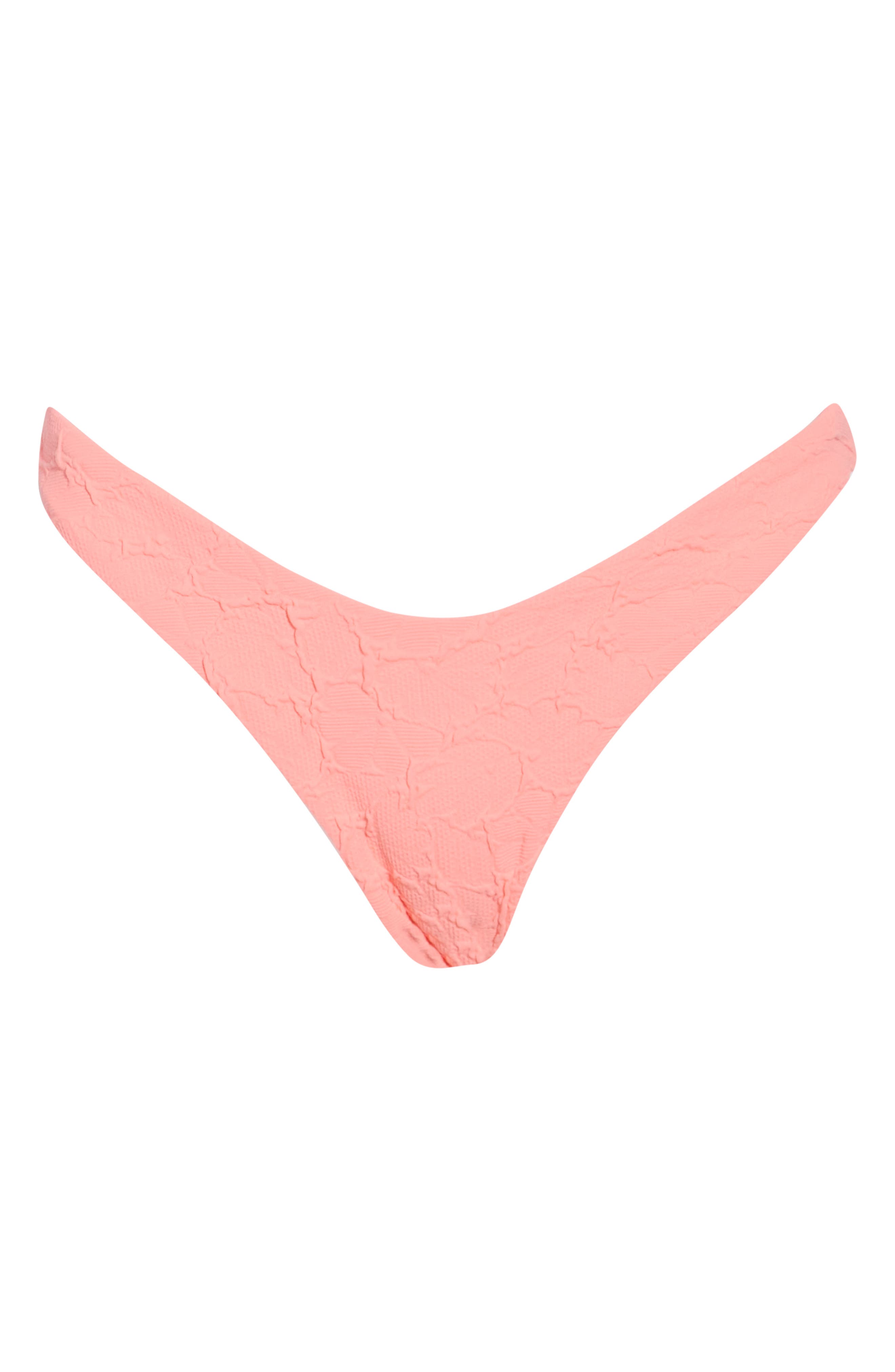 Splendour Textured Bikini Briefs