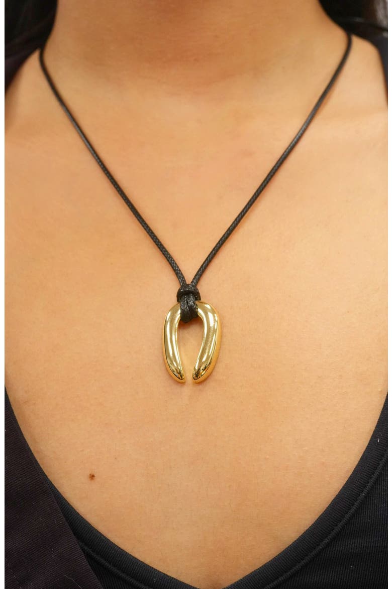 Serena Upside Down Horseshoe Pendant Cord Necklace, Alternate, color, GOLD/ BLACK