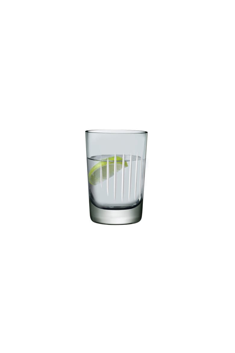 Parrot Tumbler Set of 2, Main, color, Smoke & White Line Set of 2