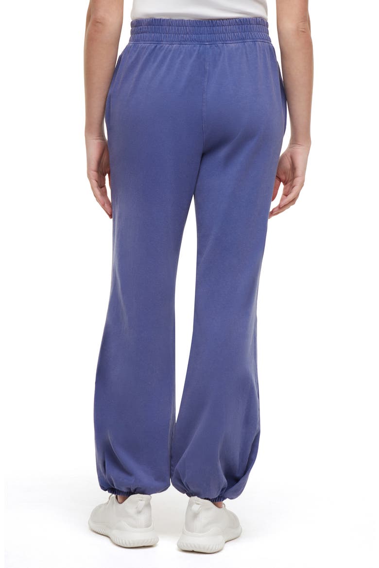 Aleyna Knit Sweatpants, Alternate, color, GRAY BLUE