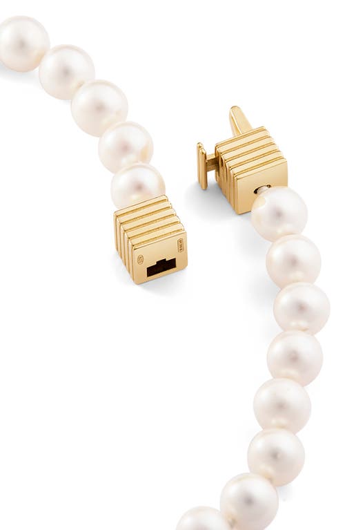 Ivi Los Angeles Kelly Cultured Pearl Necklace In Yellow Gold