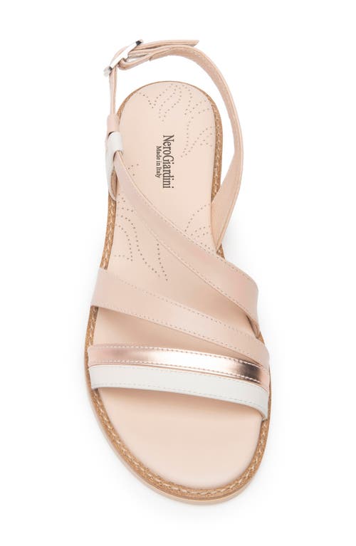 Nerogiardini Strappy Leather Sandals In Rose Multi