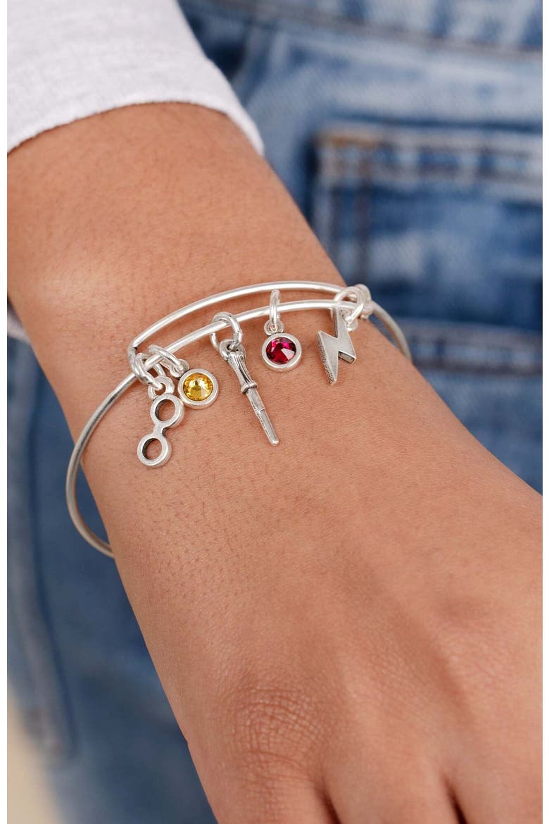 Harry Potter™ Hemione Multi Charm Bangle Bracelet, Alternate, color, Silver