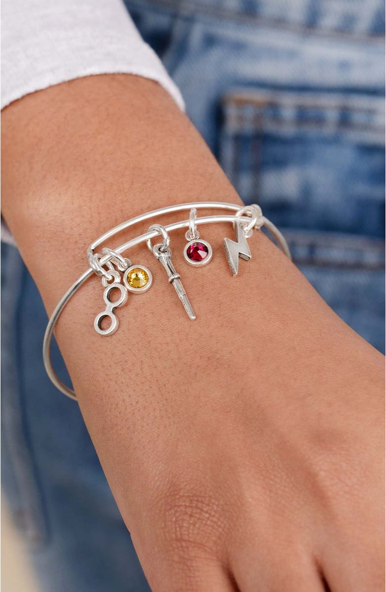 Alex and Ani Harry Potter<sup>™</sup> Hemione Multi Charm Bangle Bracelet, Alternate, color, Silver