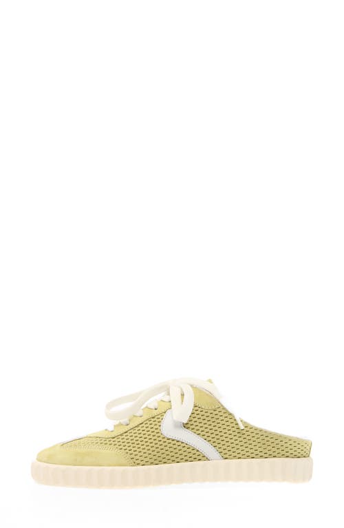 VOILE BLANCHE VOILE BLANCHE INES MULE 