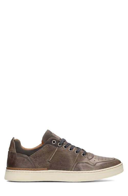 Liverpool La Launch Sneaker In Grey