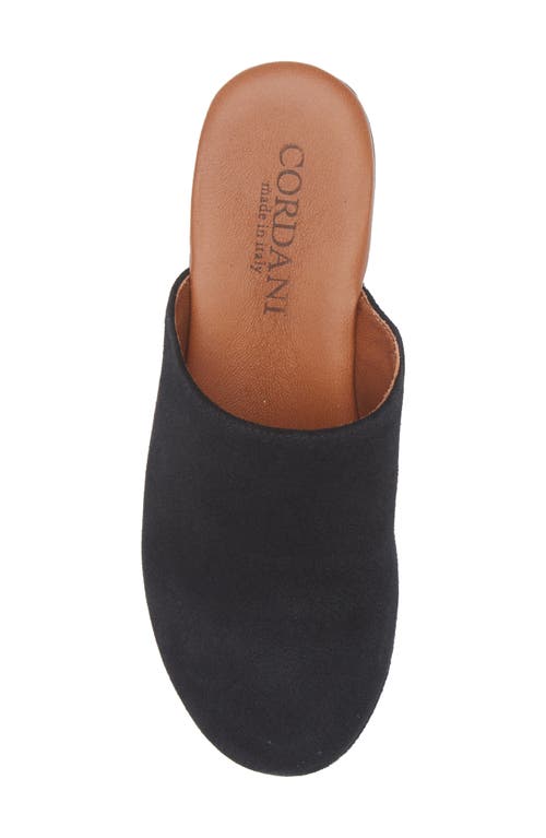 Cordani Wanda Clog In Black