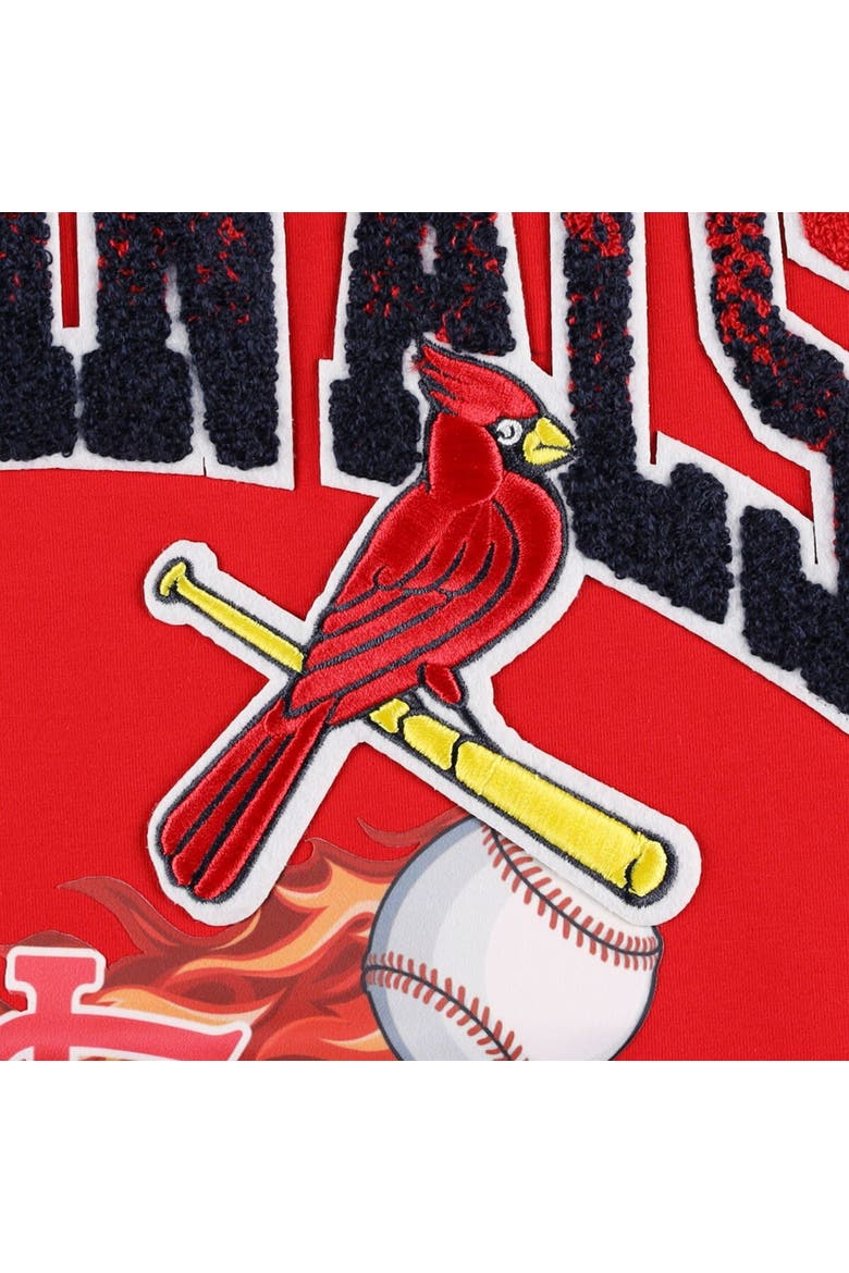 Men's Pro Standard Red St. Louis Cardinals Hometown T-Shirt, Alternate, color, Red
