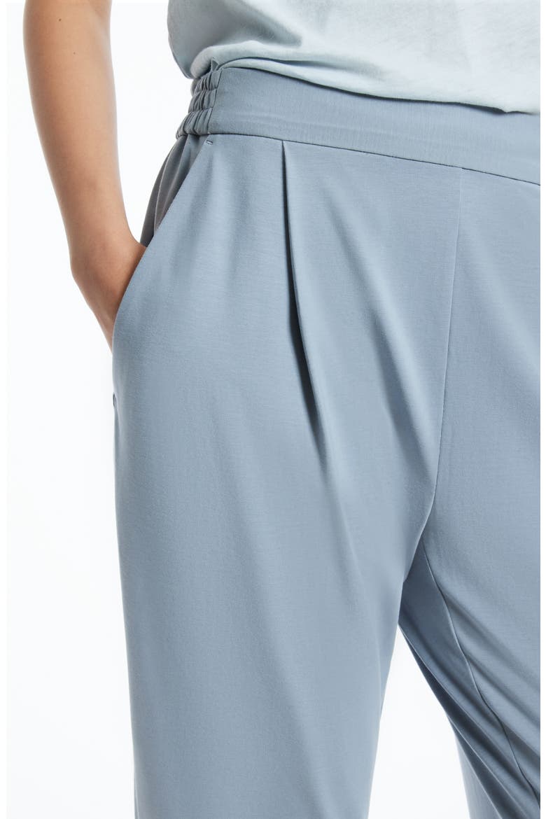 Aleida Jersey Crop Trousers, Alternate, color, STORM CLOUD BLUE