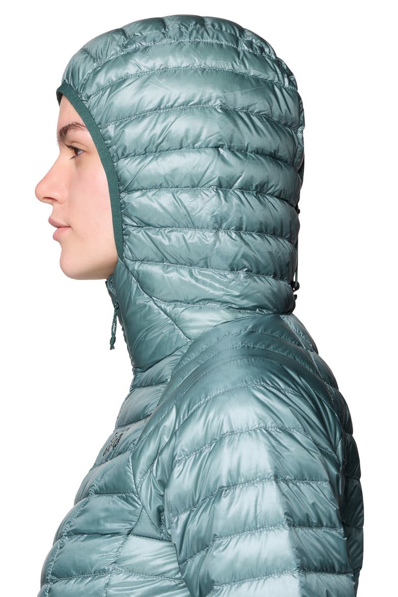 Ghost Whisperer Hoodie, Alternate, color, BLUE SAGE/ VERVE