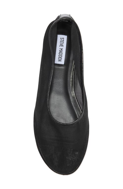 Steve Madden Meadow Flat In Black