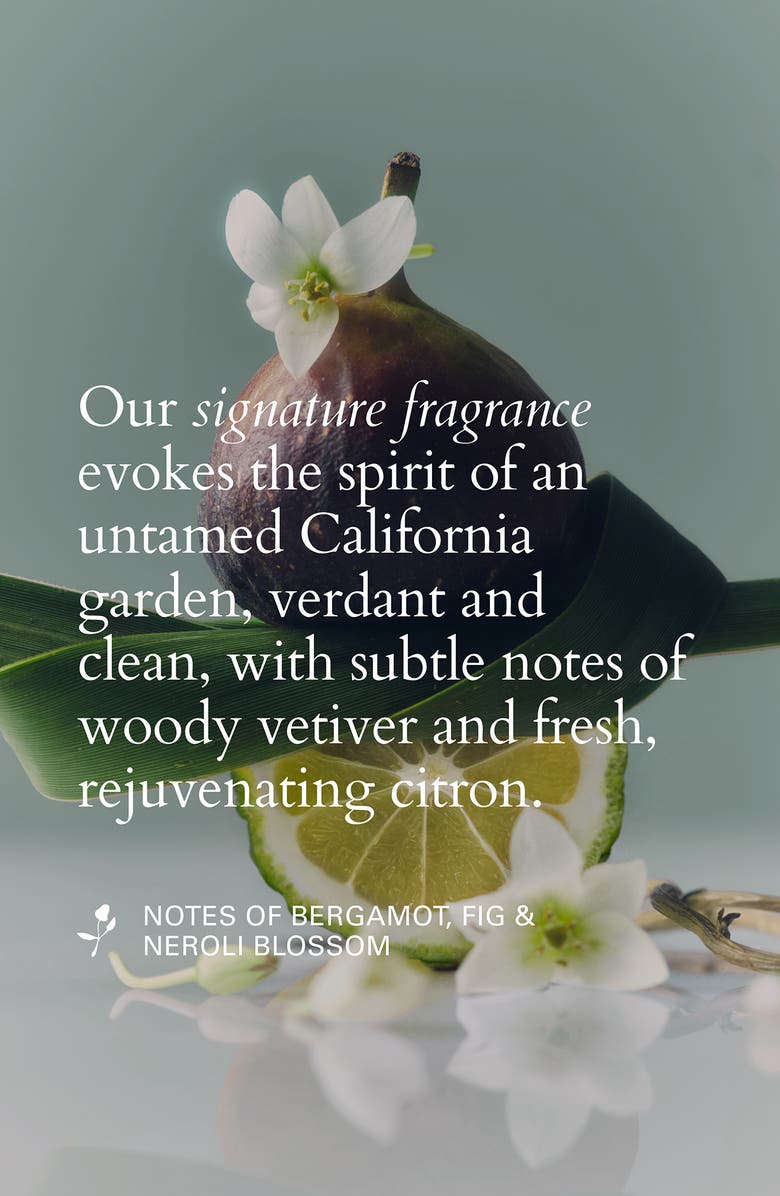 ROZ Foundation Conditioner, Alternate, color, NO COLOR