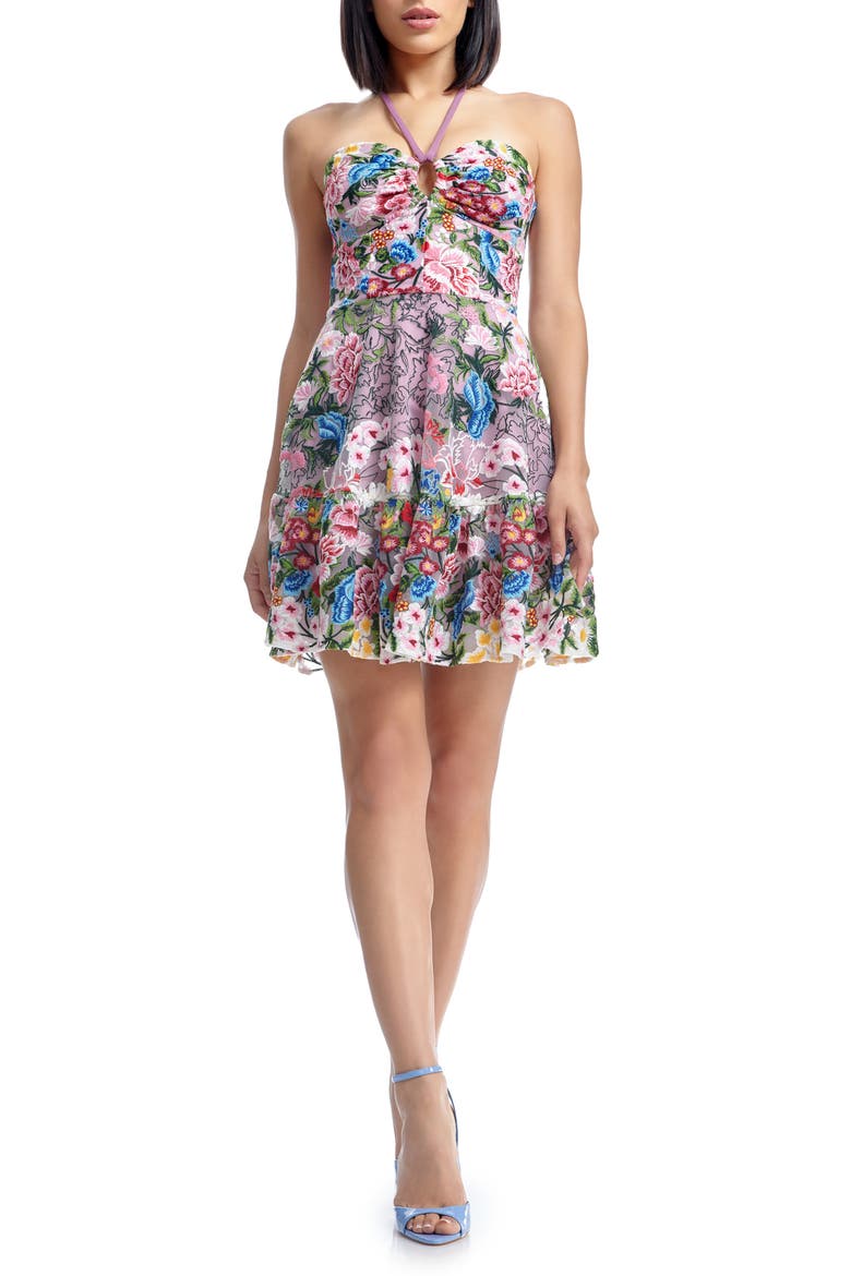 Trixie Floral Embroidered Fit & Flare Minidress, Main, color, BLUSH MULTI
