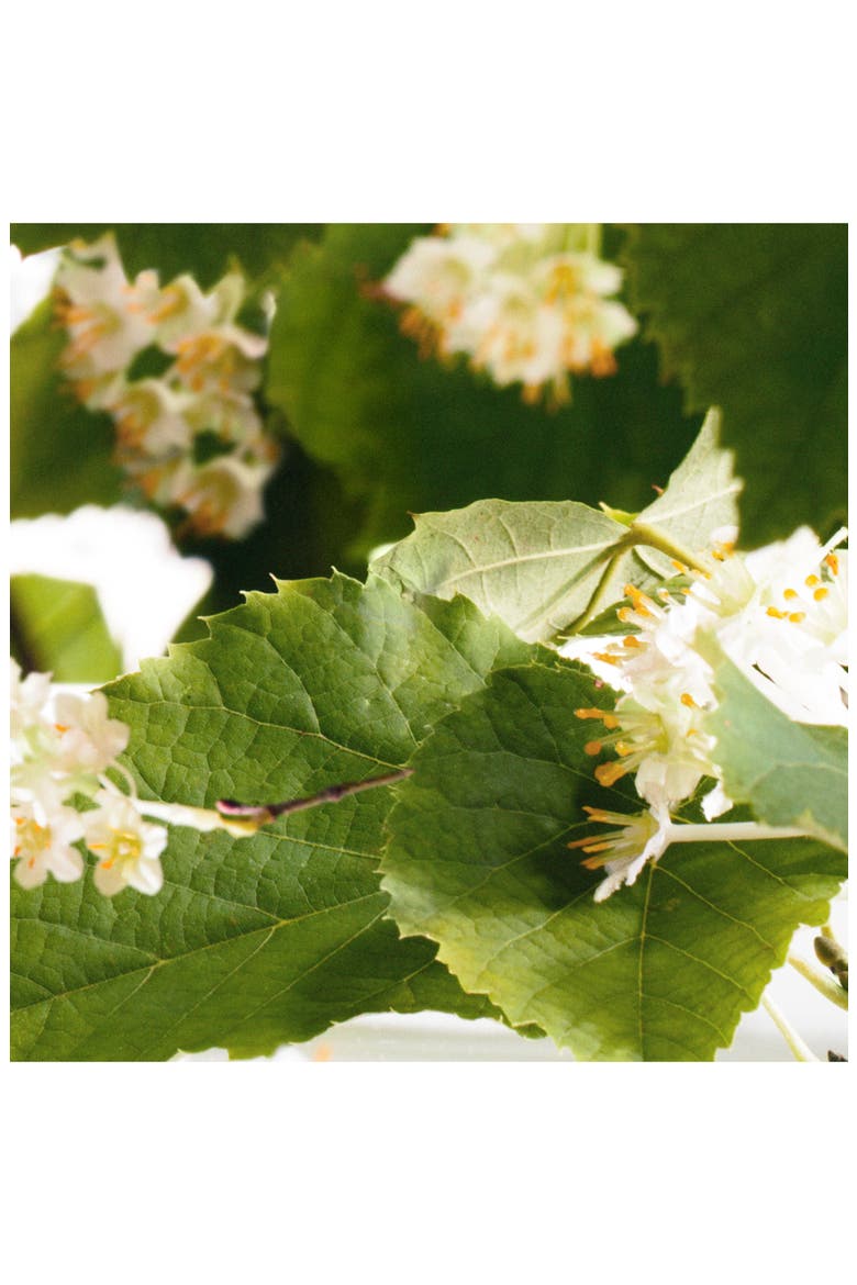 French Lime Blossom Cologne, Alternate, color, NO COLOR