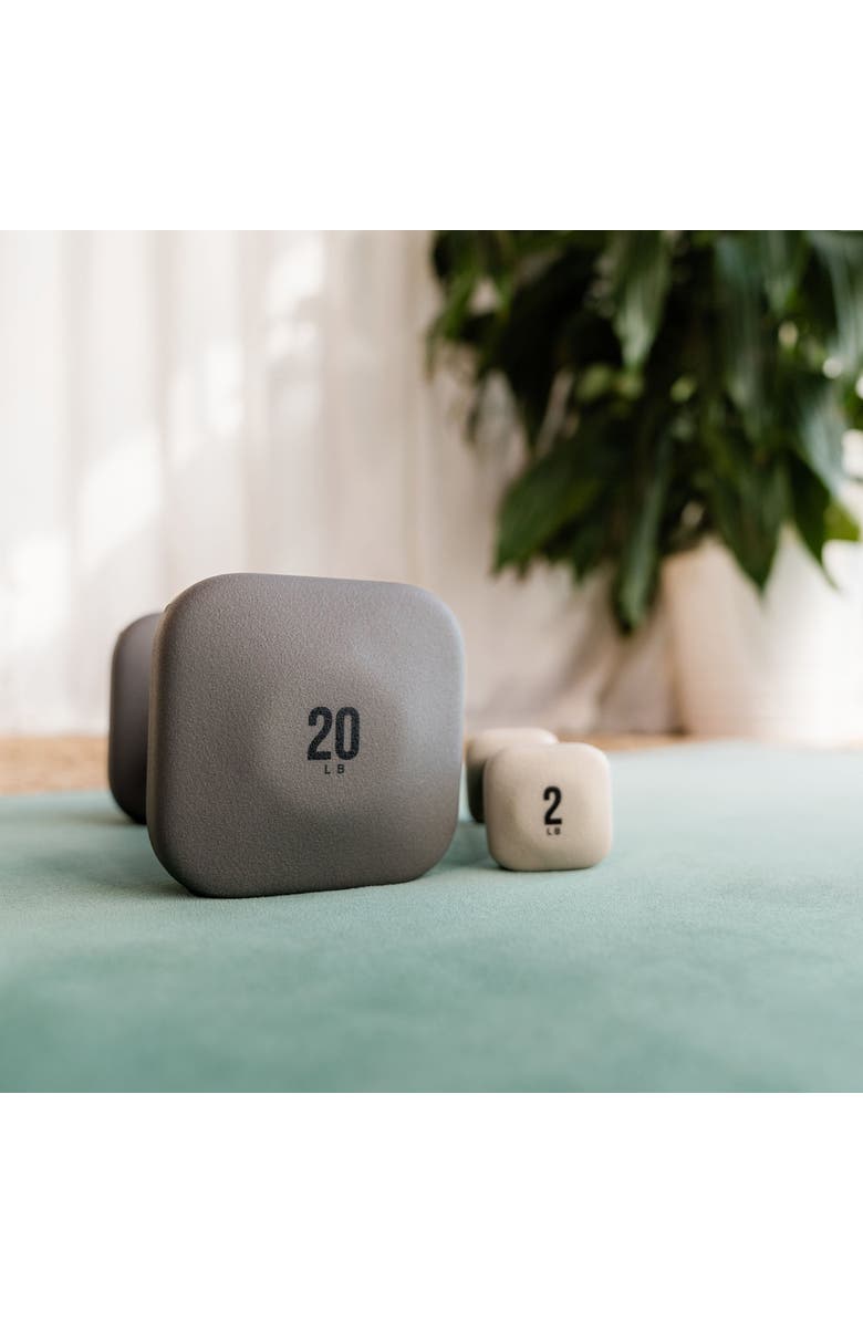 WeGym SafeGrip Dumbbells Medium Set with Light Rack - 5, 8, 10, 12 lbs, Alternate, color, Slate