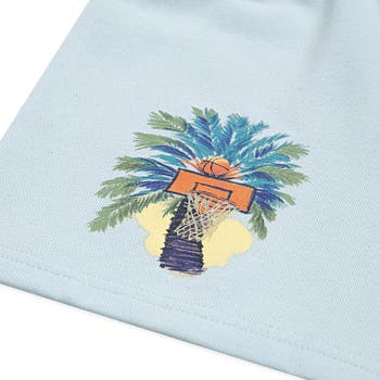 Kids' Flamingo Graphic T-Shirt & Knit Shorts Set