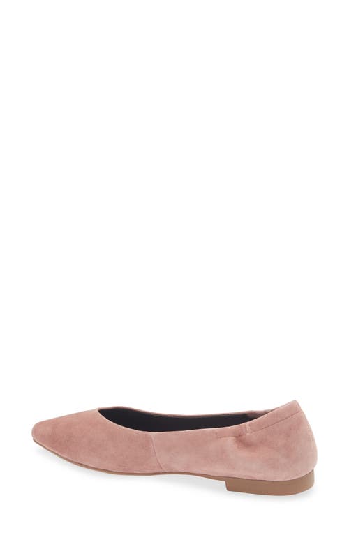 Cordani Mavis Pointed Toe Flat In Pink