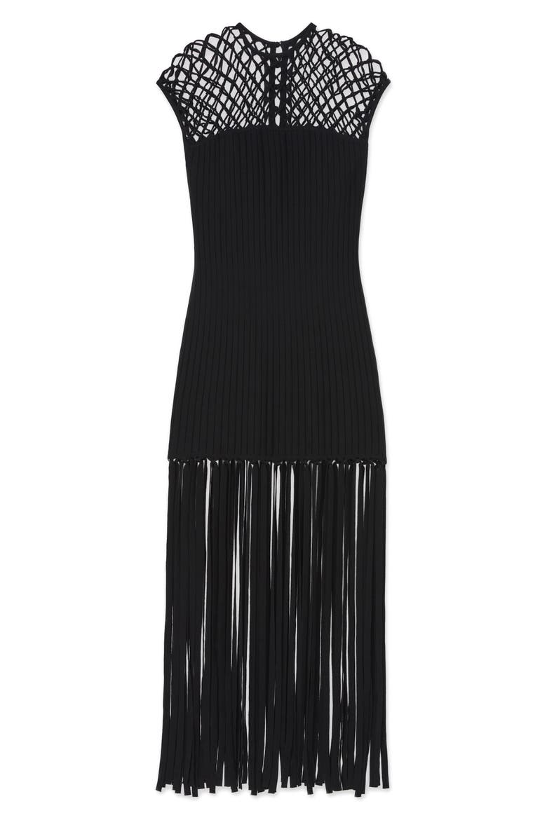 Macramé Yoke Fringe Hem Knit Dress, Alternate, color, BLACK