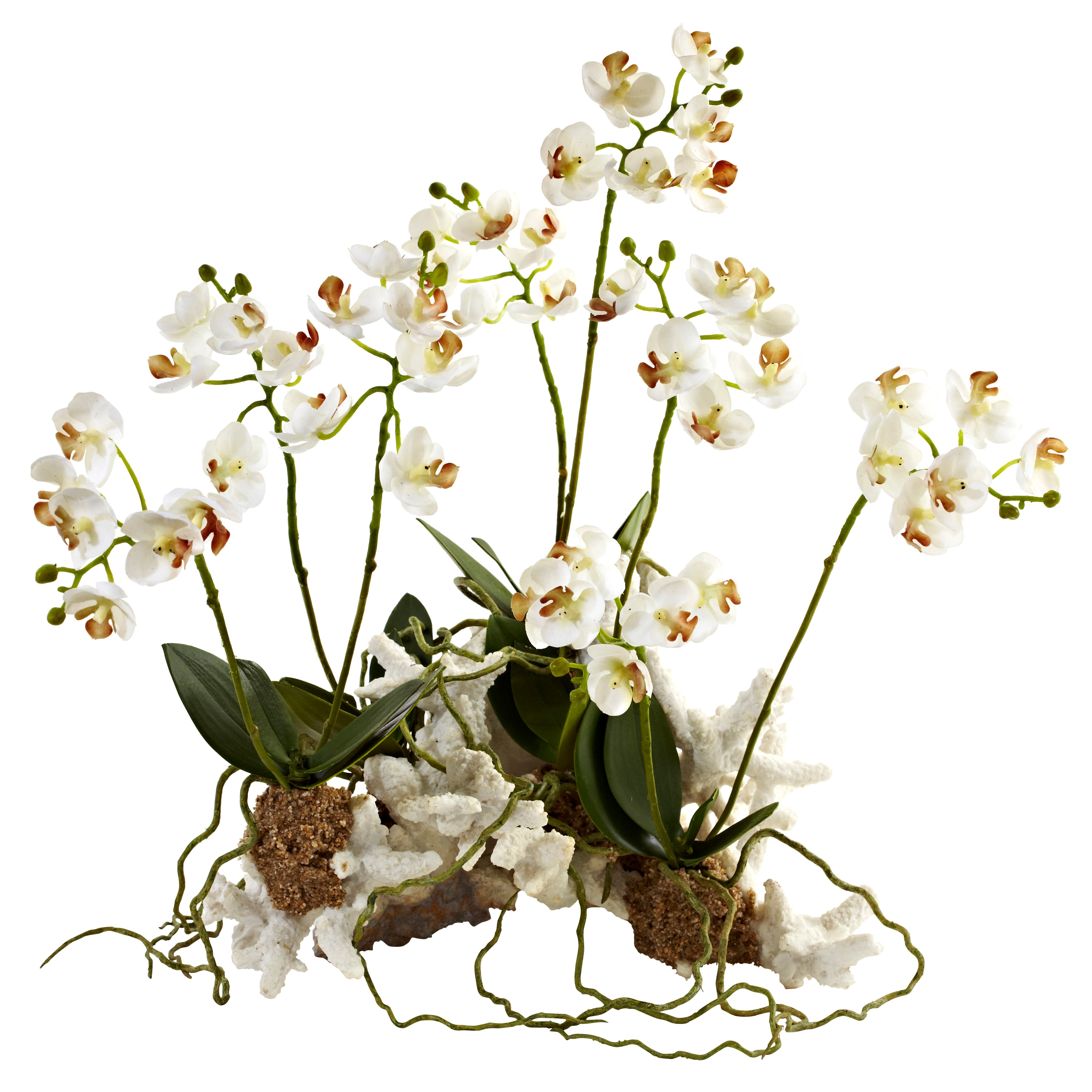 selected White
