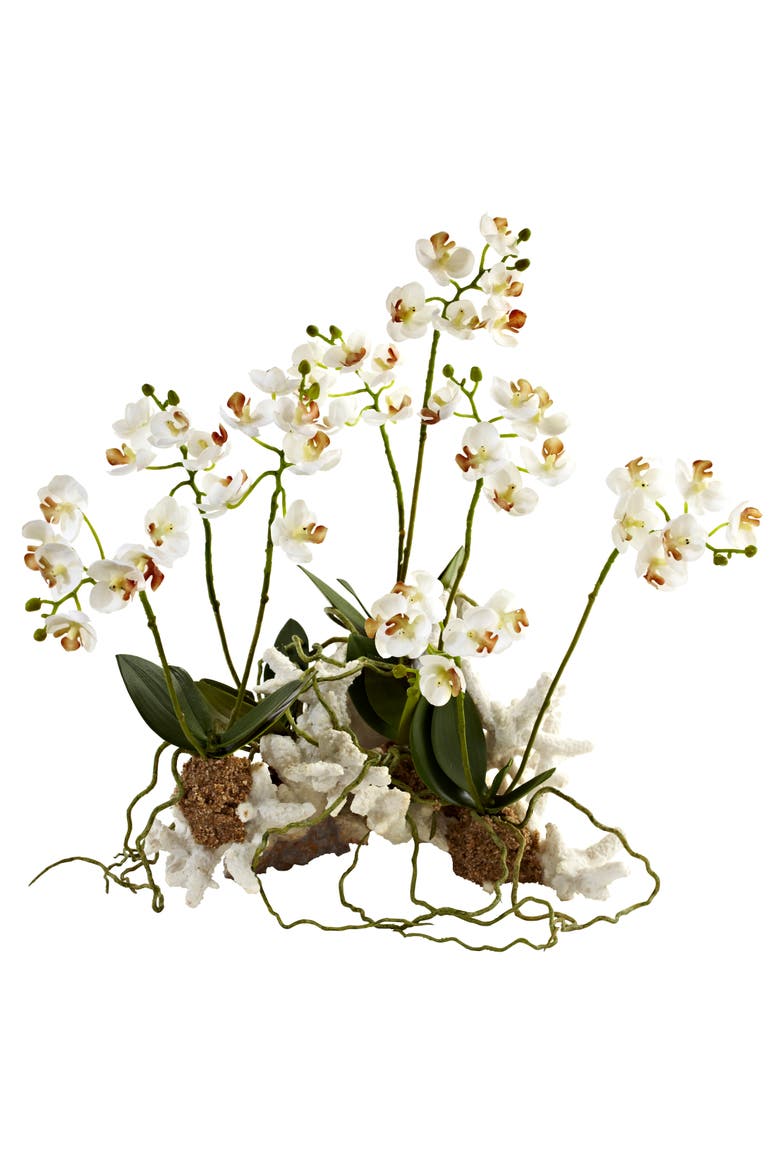 Mini Phalaenopsis Set on Coral, Main, color, White